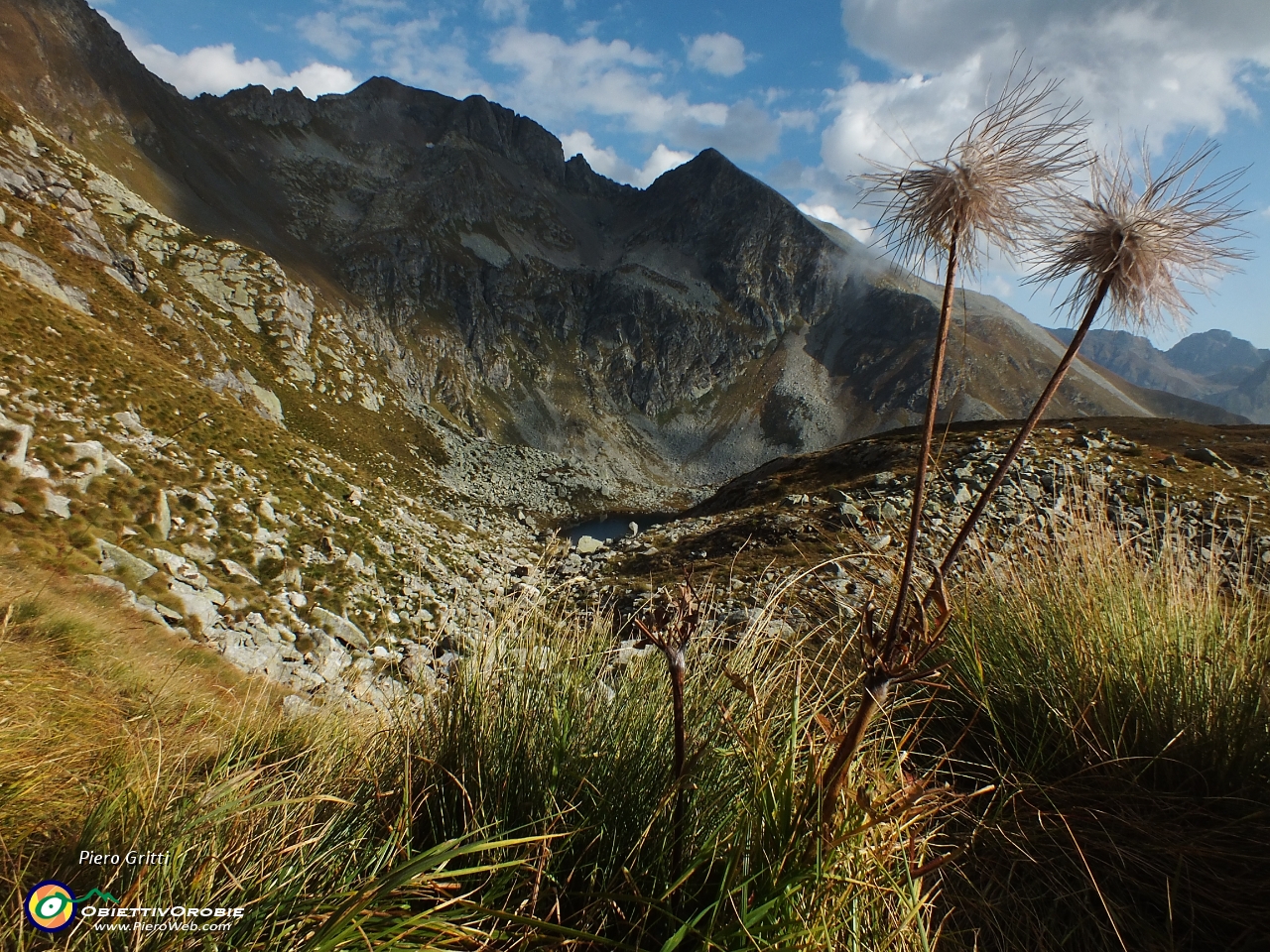 70 Pulsatilla alpina sfiorita con laghetto., Masoni e Pes Gerna....JPG